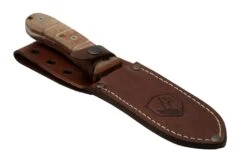 Condor Tactical P.A.S.S. Chute Knife, Couteau Fixe -Couteaux Boutique CTK1827 105 4C 06 condor