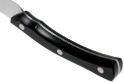 Due Cigni Arne Line Couteau D'office 10 Cm, Noir -Couteaux Boutique DG2C901 04 due cigni arne