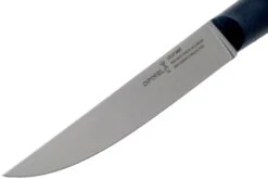 Opinel Intempora Couteau à Viande No. 220, 16 Cm -Couteaux Boutique OP002220 03 opinel intempora