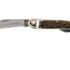 Robert Klaas Classic Line 100mm, Real Stag 383-451 Couteau & Décapsuleur -Couteaux Boutique RS383 451 01 robert klaas rs383 451 01