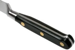 Lion Sabatier Idéal Couteau D'office 10 Cm, 711080 -Couteaux Boutique SA1372 04 04 lion sabatier v202006