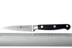 Zwilling - Professional « S » Couteau à Larder Et à Garnir 10 Cm -Couteaux Boutique ZW31020 100 04 zwilling 31020 10 officemes d4